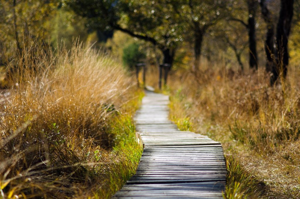 hiking trail